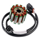 2004-2008 Yamaha YZF R1 Magneto-Stator-Schwungradrotor-Regler-Dichtungssatz 5VY-81410-00-00