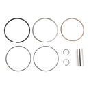 2019–2025 Honda CRF250F 310 cc Zylinder Krug Kolben Top End Kit 79 mm