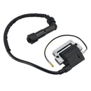 2000-2007 Can-Am DS650 ZüNDSPULE ZüNDMODUL Generic