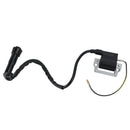 2000-2007 Can-Am DS650 ZüNDSPULE ZüNDMODUL Generic