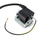 2000-2007 Can-Am DS650 ZüNDSPULE ZüNDMODUL Generic