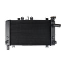 2023-2024 Chladič motoru Kawasaki Ninja ZX-4R Chladič motoru 39060-0758