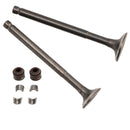 Flex Tech Topdrive 4T AC 69-mm-Einlass-/Auslassventil-Satz Generisch