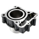 Cylinder and piston gasket set 90230035000 for RC 250 (2017–2023)