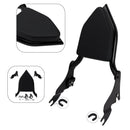 2010-2013 ROAD GLIDE CUSTOM FLTRX Passenger Sissy Bar ryggstøtte