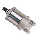 TGB Gunner 550 Anlassermotor 924470E
