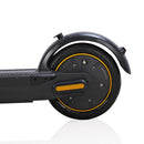 350 W ELEKTROROLLER FALTBARER E-SCOOTER 50 KM REICHWEITE 10" Vollreifen 15 AH Mit APP