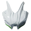 2015–2022 Kawasaki Ninja H2 Einspritz-Verkleidungsset, Karosserie, ABS