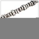2015-2020 Cadillac Escalade ESV 6.2L Camshaft & AFM LS7 Lifters 12629512 L2281-16