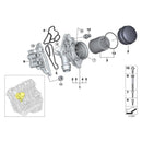 2012-2015 BMW 328i Luxury Sedan 4 Door Engine Oil Cooler Oil Filter Assembly 11428637812