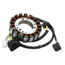 Generator-Stator für Stels Leopard 650 600 500 PM500 PM650 RM500-2 RM650 RM650-2