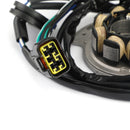 Statorgenerator für Honda CR 125 CR125R 2000-2001 31100-KZ4-A91 31100-KZ4-J31 Generic