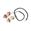 Magneto Assy ladespole for Yamaha 89-17 40HK 40X E40X påhengsmotor 66T-85520-00 Generisk