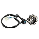 2007–2023 Honda CRF150 CRF150R CRF150RB Magneto-Stator-Generator mit Dichtung
