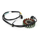 Statorgenerator til Kawasaki KLX 250 300 KLX300R KLX 250 SR 1993-1998 Generisk