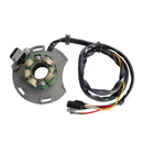 2001-2002 GAS GAS XC125 Magnetgenerator Stator Generisch