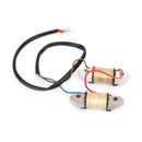 Magneto Assy ladespole for Yamaha 89-17 40HK 40X E40X påhengsmotor 66T-85520-00 Generisk