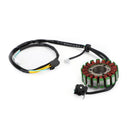 Statorgenerator til Kawasaki KLX 250 300 KLX300R KLX 250 SR 1993-1998 Generisk