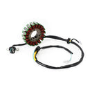 Statorgenerator til Kawasaki KLX 250 300 KLX300R KLX 250 SR 1993-1998 Generisk