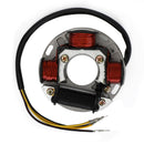 Generatorstator lämplig för Seadoo 717 720 GS GTI LE GTS SP SPI SPX HX XP 420886725